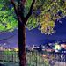 Profile Picture of zaid ansari (@zaidansari61) on Pinterest