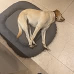 Profile Picture of Paul Prange (@Paul-Prange) on Facebook