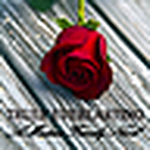 Profile Picture of Patrick North (@trulyeverlasting) on Flickr