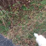 Profile Picture of Gary Cottrell (@cottrellgary) on Instagram