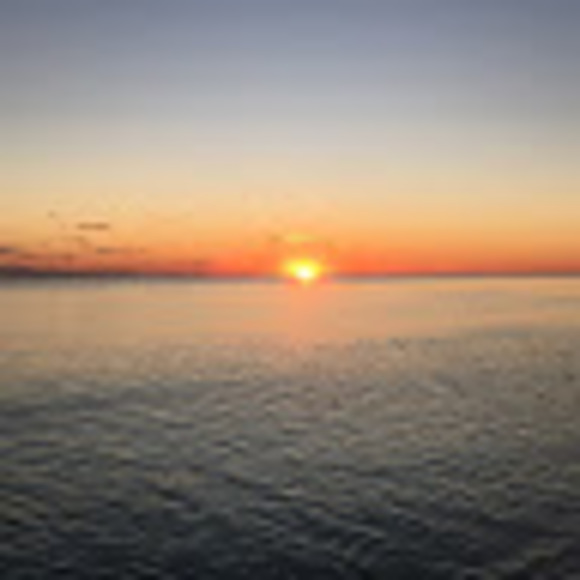 Profile Picture of Davis Parker (@davishparker) on Poshmark