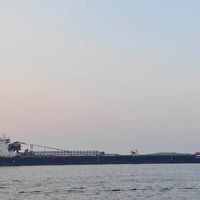 Profile Picture of Carolyn Rees (@carolyn-rees-14) on Quora