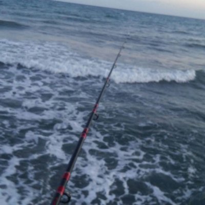 Profile Picture of Aliso Solog (@1ThomasMacchi) on Twitter