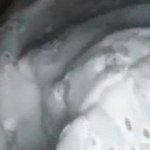 Profile Picture of hot.tamil.girlsandguys (@hot.tamil.girlsandguys) on Instagram