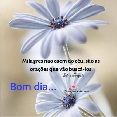 Profile Picture of Maria Aparecida Popp (@mariaap43949147) on Twitter