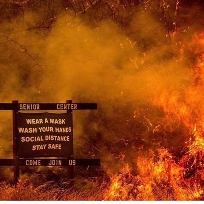 Profile Picture of Stacey Pascal (@staceypascal1) on Twitter