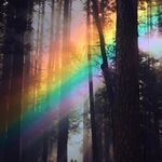 Profile Picture of Alison Keen - Spiritual Medium (@alisonkeenspiritualmedium) on Instagram