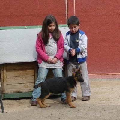 Profile Picture of Christian Viera A. (@chviera) on Twitter