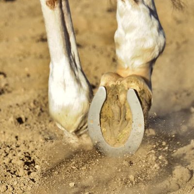 Jenna Edmonds - Twitter Profile Picture of Jenna Edmonds (@JennaEdmonds5) on Twitter