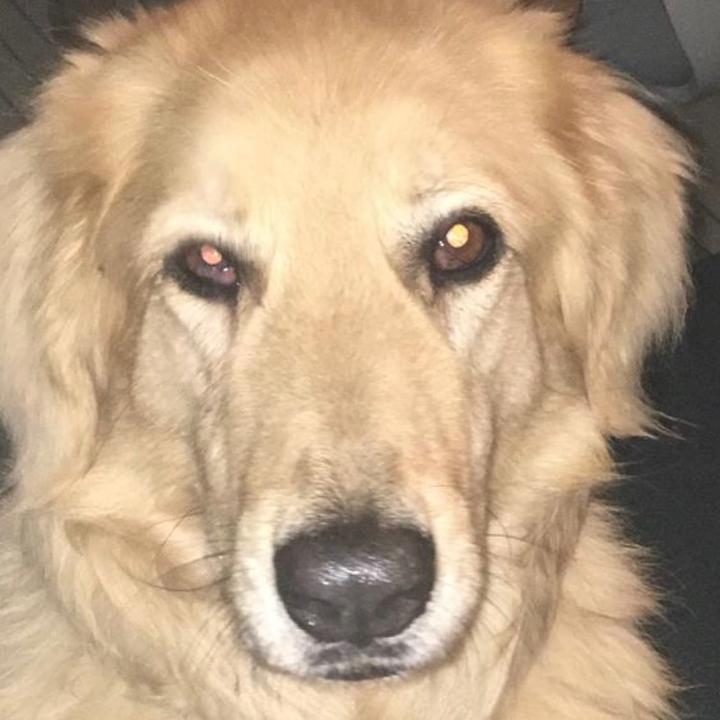 Profile Picture of Thomas Wessels441 (@thomaswessels441) on Tiktok