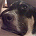 Profile Picture of Obadiah Fishbein (@obie fishbein) on Flickr