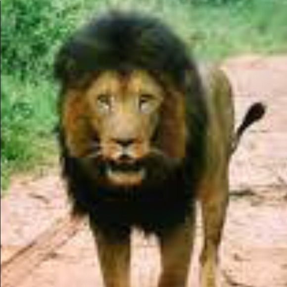 Profile Picture of Diane Leuck (@wackyad) on Poshmark