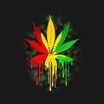 Profile Picture of Rhys Lawrence-puhipi (@rhysbusby) on Instagram