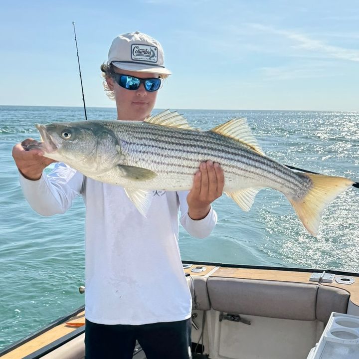 Profile Picture of zachbloxam (@zachbloxam) on Tiktok