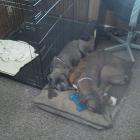 Profile Picture of Michael Deluca (@mpdeluca) on Pinterest