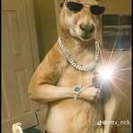 Daniel Kramer - Facebook Profile Picture of Daniel Kramer (@Daniel-Kramer) on Facebook