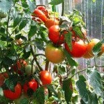 Profile Picture of Emerson (@emersonglennanr) on Instagram