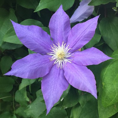 Profile Picture of M M Grace (@Grace4Justice) on Twitter