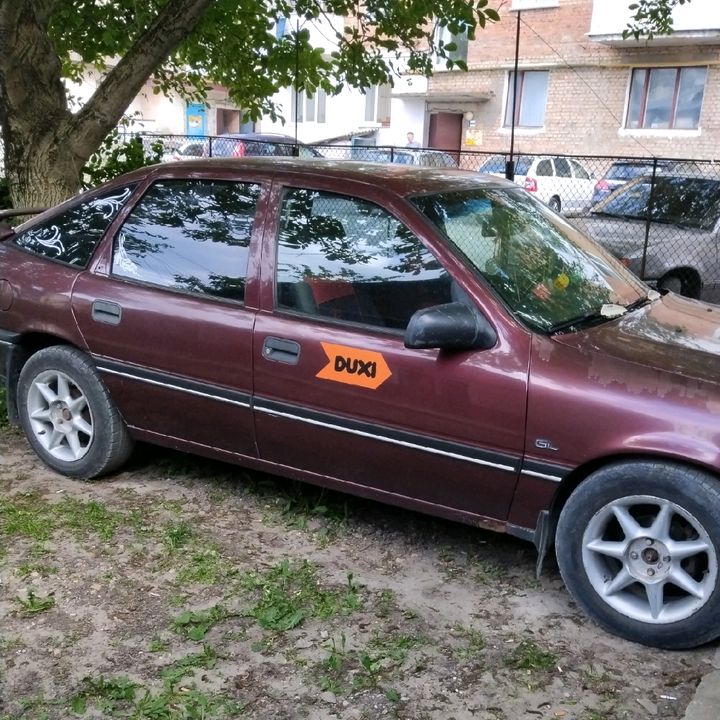Profile Picture of Alexander Lob (@alexander.lob3) on Tiktok