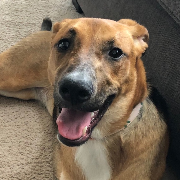 Profile Picture of Haley Pendergrass (@hpendergrass1) on Poshmark