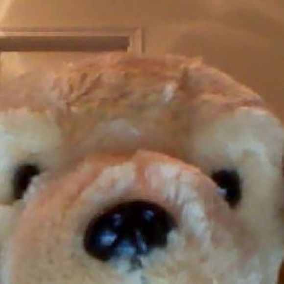 Profile Picture of Manuel Calderon (@calderonjesus6) on Poshmark