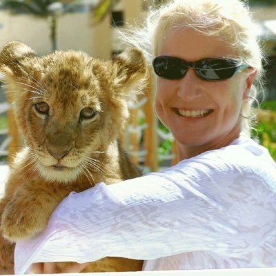 Profile Picture of Julie Moscal  🎨 (@JulesFoxMoscal) on Twitter