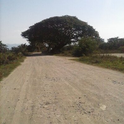 Profile Picture of Carlos Garibaldi (@carlosgaribal1) on Twitter