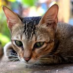 Profile Picture of Clarence Rue (@clarence.rue) on Facebook