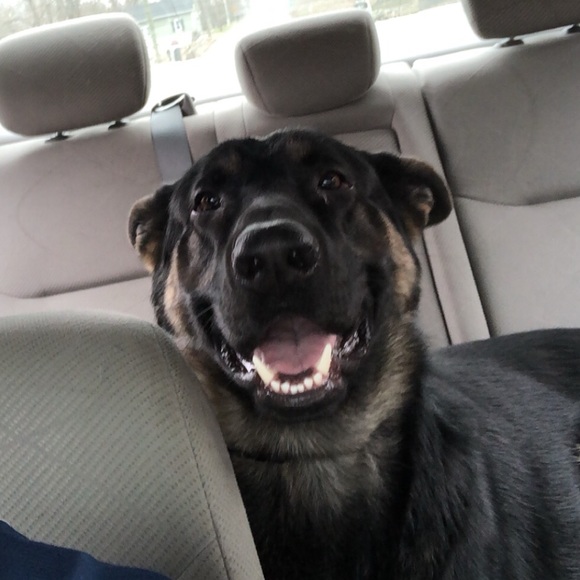 Profile Picture of Michael Bento (@michaelbento) on Poshmark