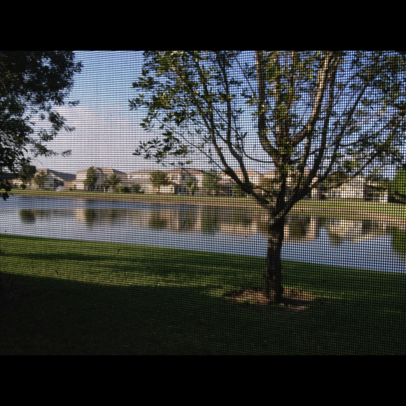 Profile Picture of Amanda Palomba (@amandapalomba) on Poshmark