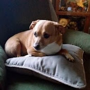 Profile Picture of Gary Wamboldt (@garywamboldt7786) on Youtube