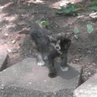 Profile Picture of Maud Wilson (@maud-wilson) on Quora