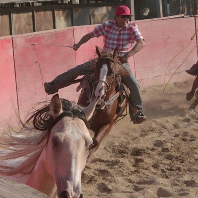 Profile Picture of Robert Lara (@robloscowboys) on Twitter