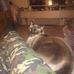 Profile Picture of Phyllis Stratton (@phyllis.stratton.737) on Facebook