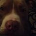 Profile Picture of Jada Jeter (@jada.jeter.3) on Facebook
