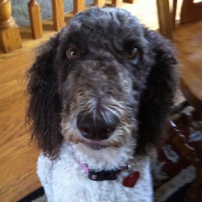 Matt Nickels - Twitter Profile Picture of Matt Nickels (@MattMNickels) on Twitter