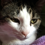 Profile Picture of Rocio Gutierrez Sanchez (@rociogs73) on Flickr