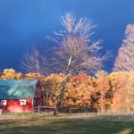 Chris Sweeney - Instagram Profile Picture of Chris Sweeney (@chris.sweeney3) on Instagram