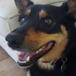 Profile Picture of Minniesue Ivy Davies (@minniesueivy) on Instagram