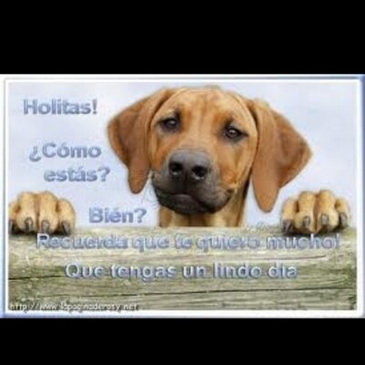 Profile Picture of Ada Viera (@ada041) on Twitter