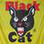 Profile Picture of Mark Johnston (@shocking videos) on Flickr