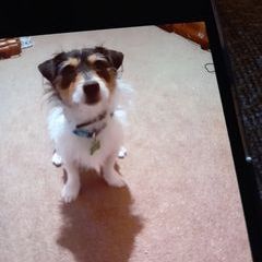 Profile Picture of traceymackenzie50 (@traceymackenzie50) on Tiktok