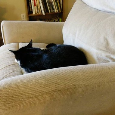 Profile Picture of Wanda Curtis (@wcurtis_az) on Twitter