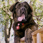 Profile Picture of Jose Diaz (@Jose F. Diaz) on Flickr