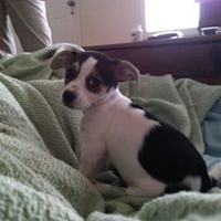 Profile Picture of Steven Jon Herman (@steven-jon-herman) on Quora