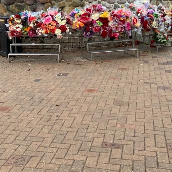 Profile Picture of Sari Vasques (@sariii365) on Poshmark