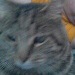 Profile Picture of William S Muddle (@williamsmuddle) on Instagram