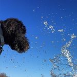 Profile Picture of Max McCain (@max_mccain) on Instagram