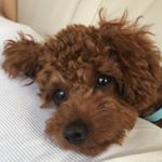 Profile Picture of Krug Jim Jr (@krug_2018) on Instagram