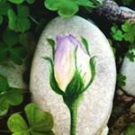 Reem Najim - Instagram Profile Picture of Reem Najim (@najimreem) on Instagram